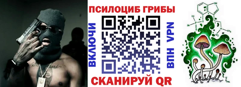 OMG tor  Пустошка  Псилоцибиновые грибы мицелий  наркота 